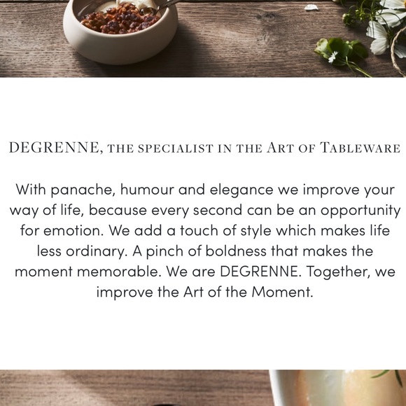 GUY DEGRENNE Ouliveiro Pattern Dinner Plate & Salad Plate - Picture 15 of 15